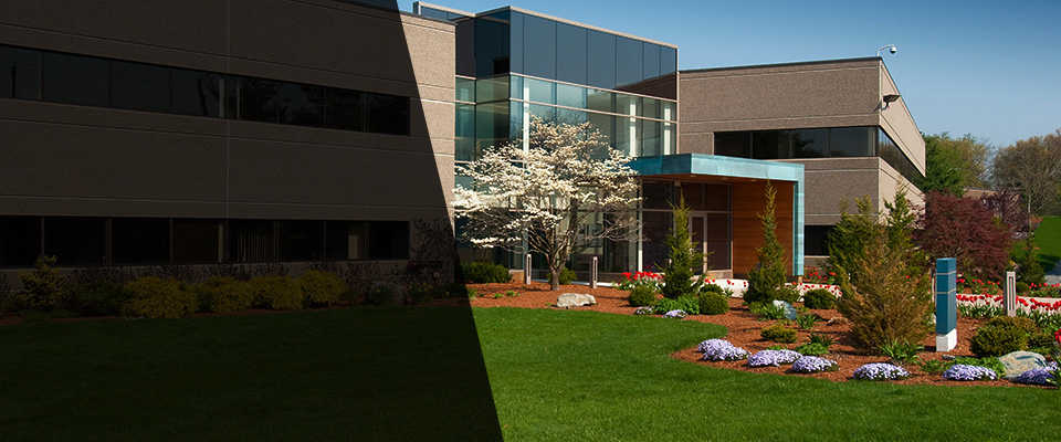 Wantagh Landscapers