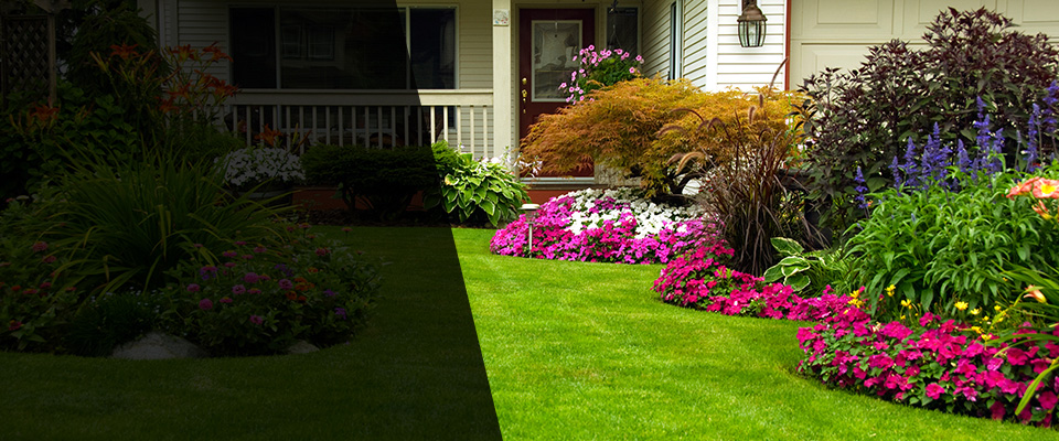Wantagh Landscapers