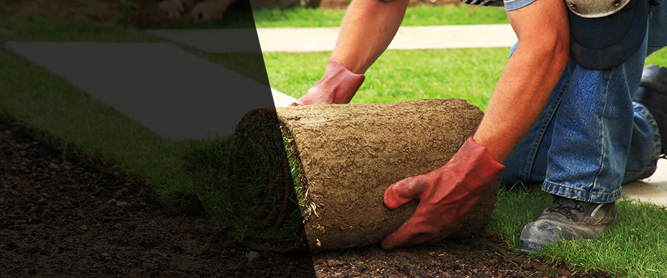 Wantagh Landscapers